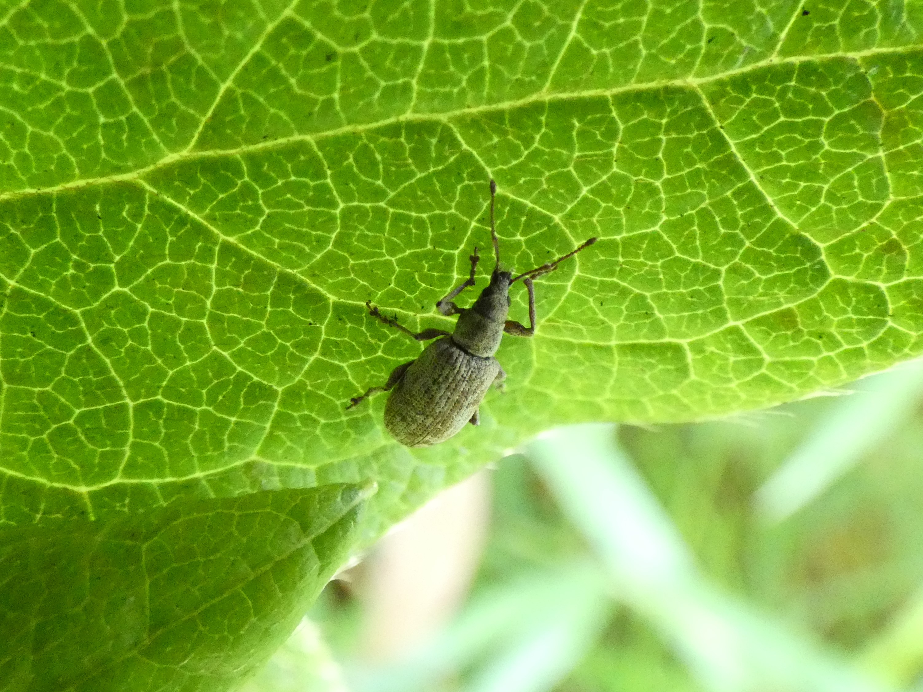 photo_1